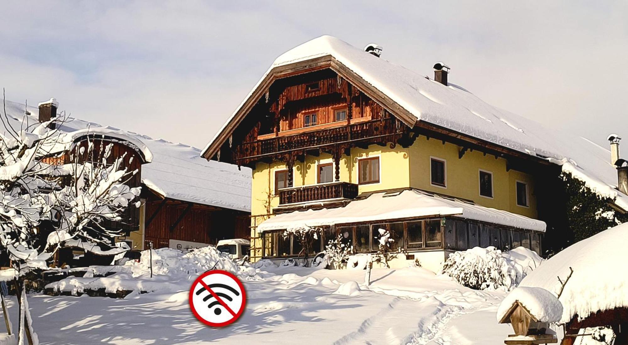 Bio Archehof Zachhiesen - Stay & Relax Seekirchen am Wallersee Bagian luar foto