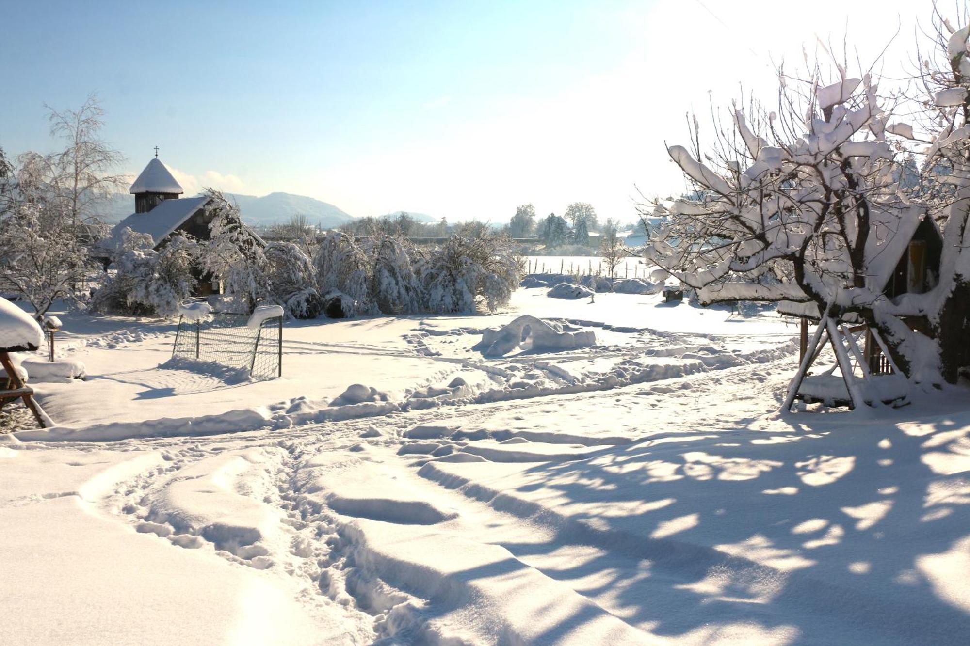 Bio Archehof Zachhiesen - Stay & Relax Seekirchen am Wallersee Bagian luar foto