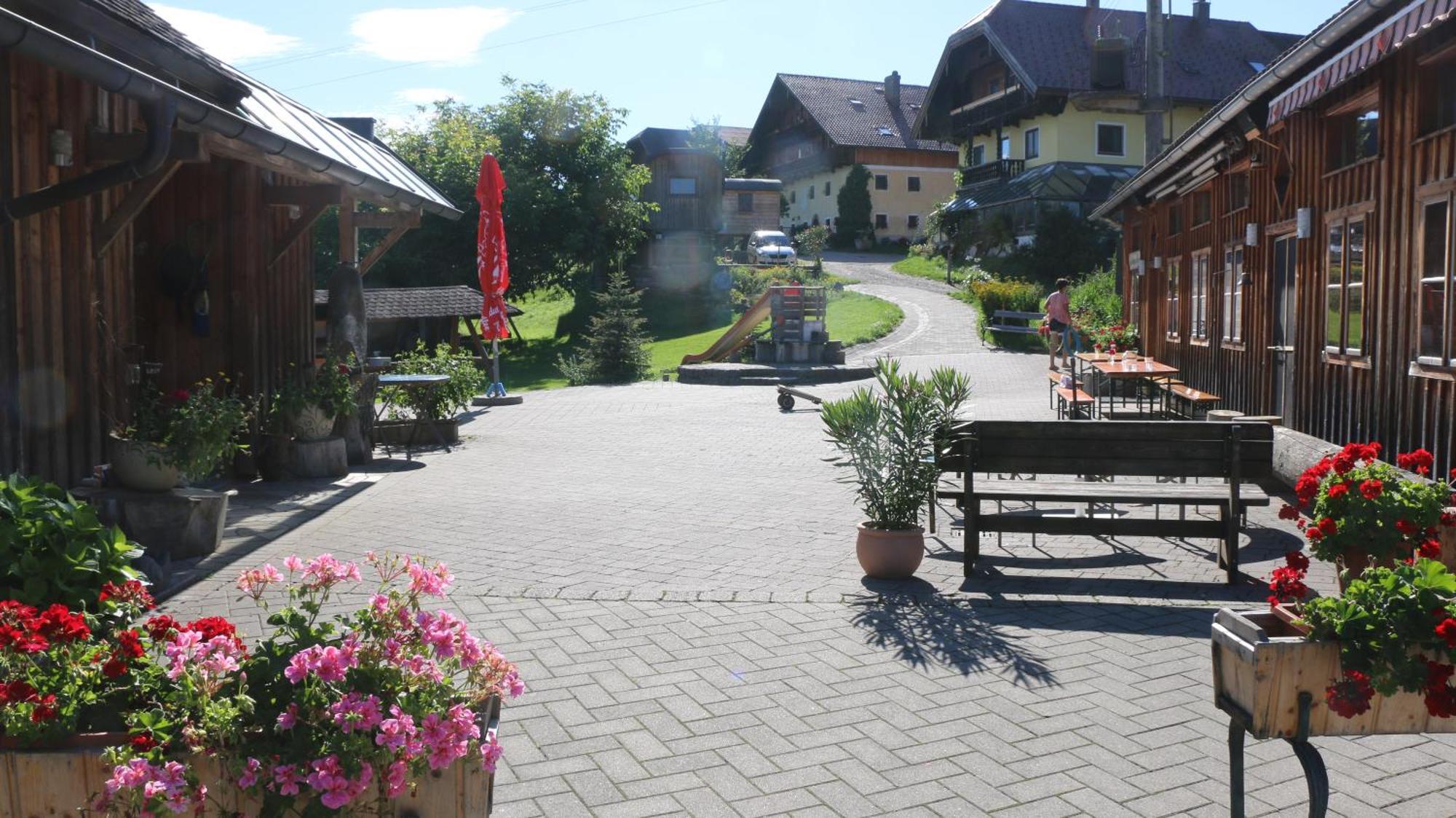 Bio Archehof Zachhiesen - Stay & Relax Seekirchen am Wallersee Bagian luar foto